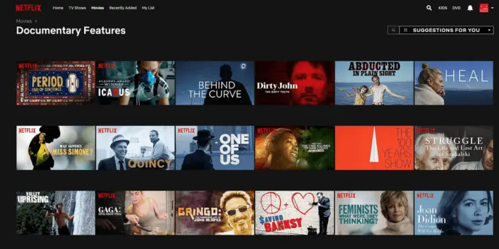 Netflix Interface